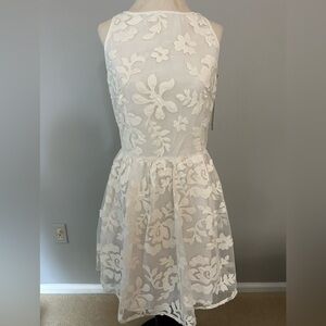 BB Dakota dress